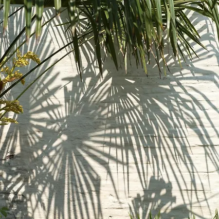 Panzió Koto Garden 5*